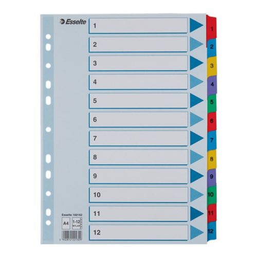 Regiszter ESSELTE Mylar A/4 karton 1-12